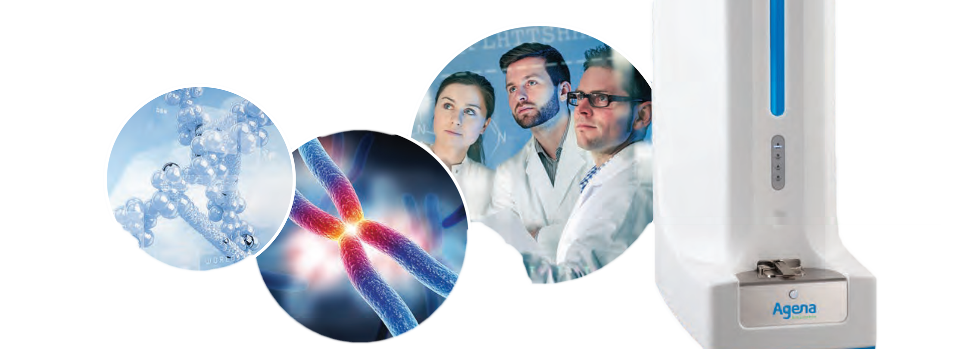 agena biosciences agena biosciences